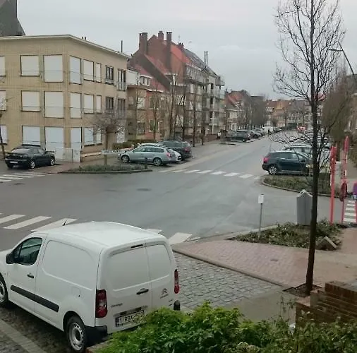 Soucis Au Vent La Panne